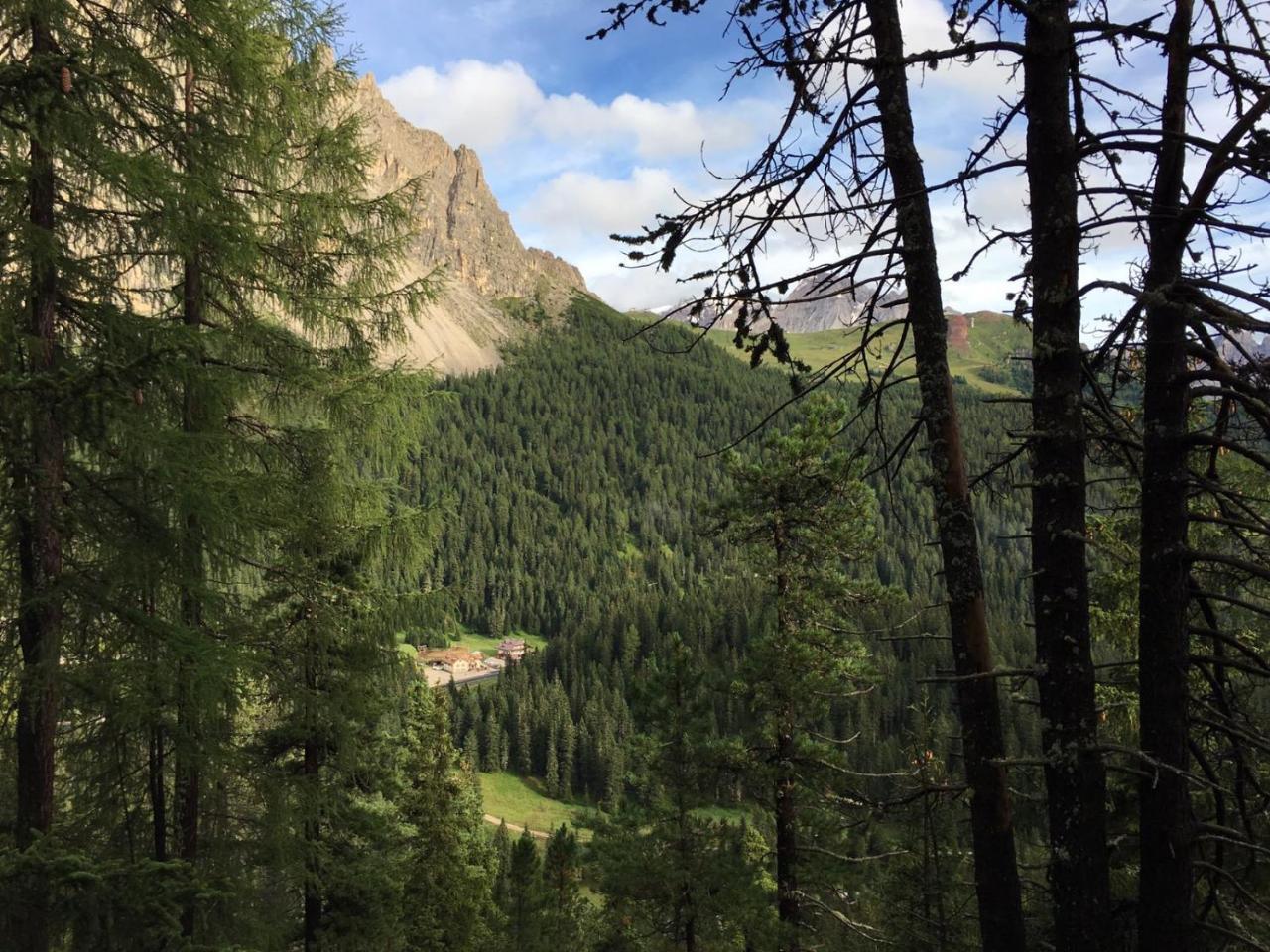 Inn Rifugio Monti Pallidi